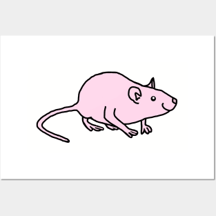 Pink Rat Posters and Art